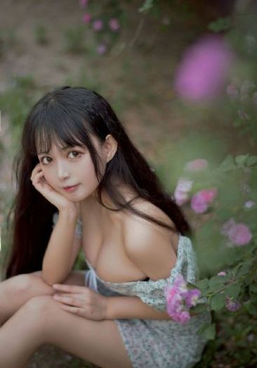 香草的天空